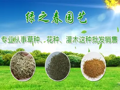 云南网络推广公司为大家推荐昆明绿之春园艺